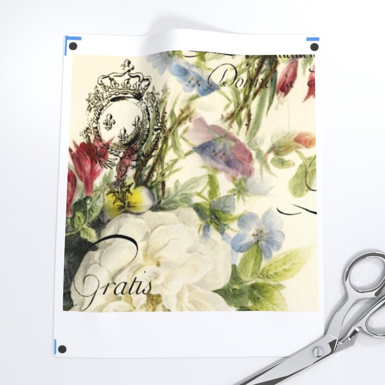 Vintage Roses Shabby Chic Victorian Romantic French Rose Garden Handwriting Typography Custom Printed Fabric by Spoonflower Various Fabrics by the Yard or Fat Quarter